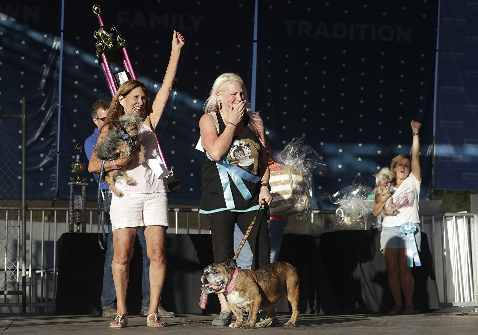 Конкурс Самая уродливая собака в мире(World's Ugliest Dog) Конкурс Самая уродливая собака в мире(World's Ugliest Dog)