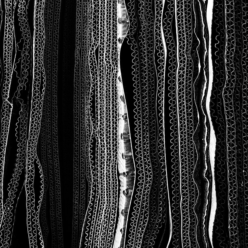 Работа фотографа Glenn Homann из Австралии Corrugations, занявшая первое место в категории Абстракция в фотоконкурсе 2018 iPhone Photography Awards Работа фотографа Glenn Homann из Австралии Corrugations, занявшая первое место в категории Абстракция в фотоконкурсе 2018 iPhone Photography Awards