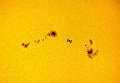 Работа фотографа Dani Caxete (Fernández Méndez) ISS sunspots, вошедшая в шорт-лист Insight Astronomy Photographer of the Year 2018 Работа фотографа Dani Caxete (Fernández Méndez) ISS sunspots, вошедшая в шорт-лист Insight Astronomy Photographer of the Year 2018