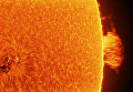 Работа фотографа Łukasz Sujka AR 2665 and Quiescent Prominence, вошедшая в шорт-лист Insight Astronomy Photographer of the Year 2018 Работа фотографа Łukasz Sujka AR 2665 and Quiescent Prominence, вошедшая в шорт-лист Insight Astronomy Photographer of the Year 2018