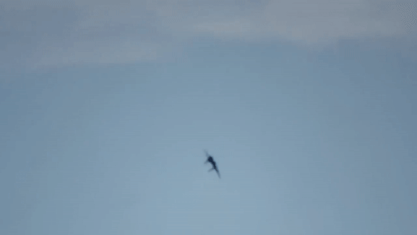 Полет Су-35С над островом Русский Полет Су-35С над островом Русский