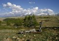 Экспедиция в Туву в поисках старых деревьев Экспедиция в Туву в поисках старых деревьев
