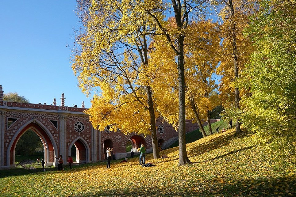 Культура осенью. Парки Коломенское Царицыно. Английский парк Царицыно. Парк Царицыно Кленовая роща. Царицыно или Коломенское.