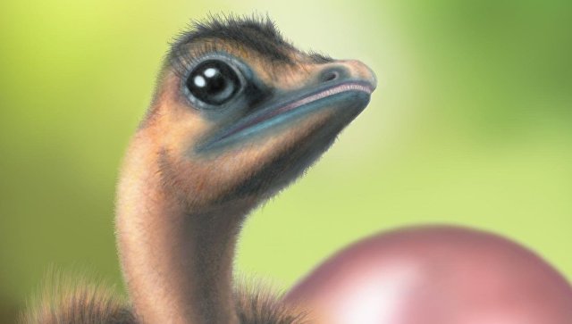 У динозавров были цветные яйца, выяснили палеонтологи 