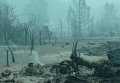 Деревня Криуши Клепиковского района Рязанской области Деревня Криуши Клепиковского района Рязанской области