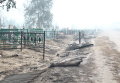 Деревня Криуши Клепиковского района Рязанской области Деревня Криуши Клепиковского района Рязанской области