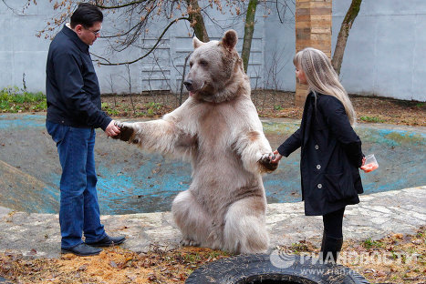 Фото с медведем степаном