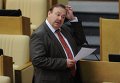 Пленарное заседание Госдумы РФ Пленарное заседание Госдумы РФ