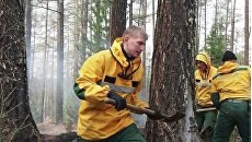 Сотрудники Авиалесоохраны (подразделение Рослесхоза) тушат возгорания леса Сотрудники Авиалесоохраны (подразделение Рослесхоза) тушат возгорания леса