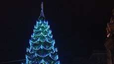 Новогодние елки в Москве Новогодние елки в Москве