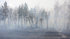 Тушение лесного пожара. Архив Тушение лесного пожара. Архив