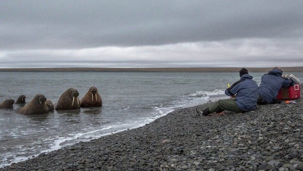 Картинки на море весной Картинки на море весной