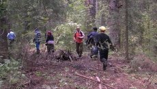 Миграционная служба обнаружила под Томском шишкарей-нелегалов Миграционная служба обнаружила под Томском шишкарей-нелегалов