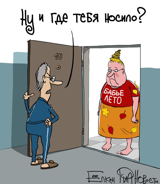 Лишь бы синоптики не ошиблись! Лишь бы синоптики не ошиблись!