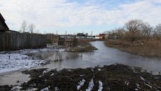 Приамурье, архивное фото Приамурье, архивное фото